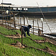 Mekong12