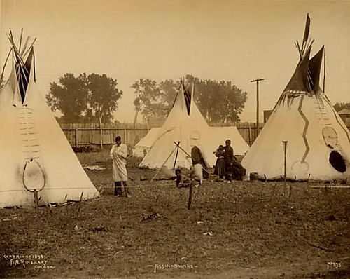 Tribu-assiniboines-dans-une-reserve