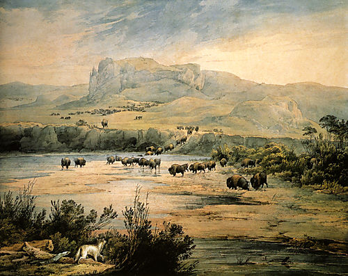 Landscape_with_Herd_of_Buffalo_on_the_Upper_Missouri__Watercolor_by_Karl_Bodmer_1833