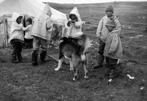 1115-Photo-Inuit-Children-and-Dog_g