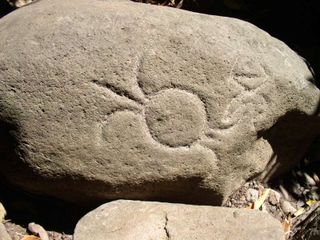 Petroglyphe_maupiti