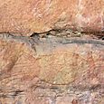 IMG_3580a