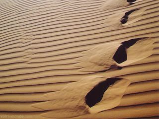 Les dunes de sable communiquent pour se déplacer - Sciences et Avenir