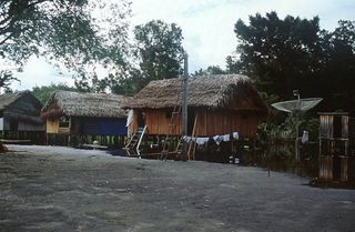 Village-yanomami