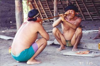 Yanomamo Yopo ceremony