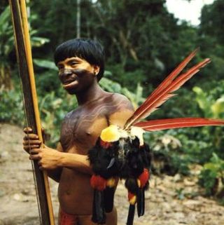 Yanomami (2)