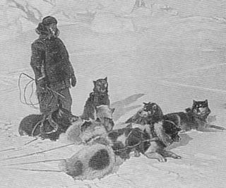 Amundsen chiens eskimos