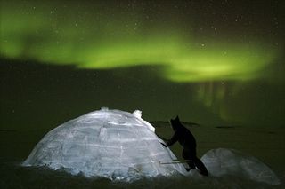 Aurores-boreales-ciel-canadien-337701