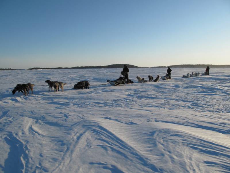 Legere-houle-des-glaces