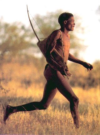 BUSHMEN 6