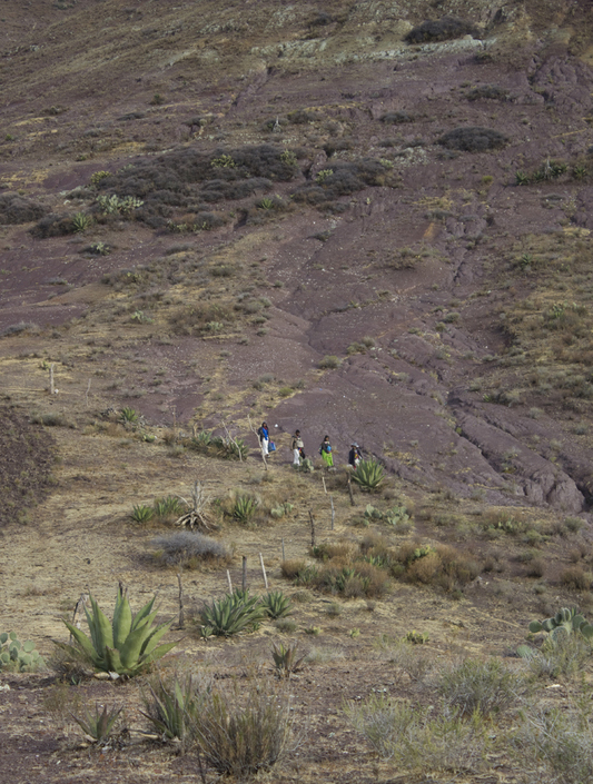 Wirikuta-elchemado-ceremony-huicholes-wirrarika _139_