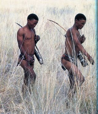 BUSHMEN958