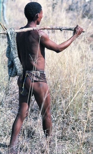 BUSHMEN962_modifié-2