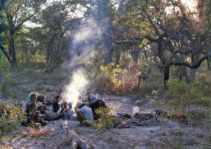 BUSHMEN955_modifié-2