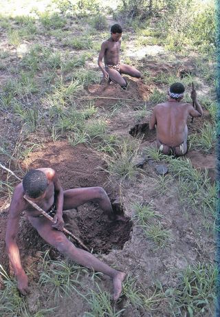 BUSHMEN964_modifié-1