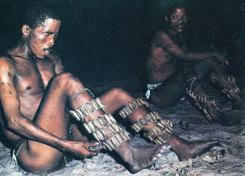 BUSHMEN944_modifié-1