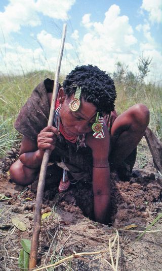 BUSHMEN966_modifié-1