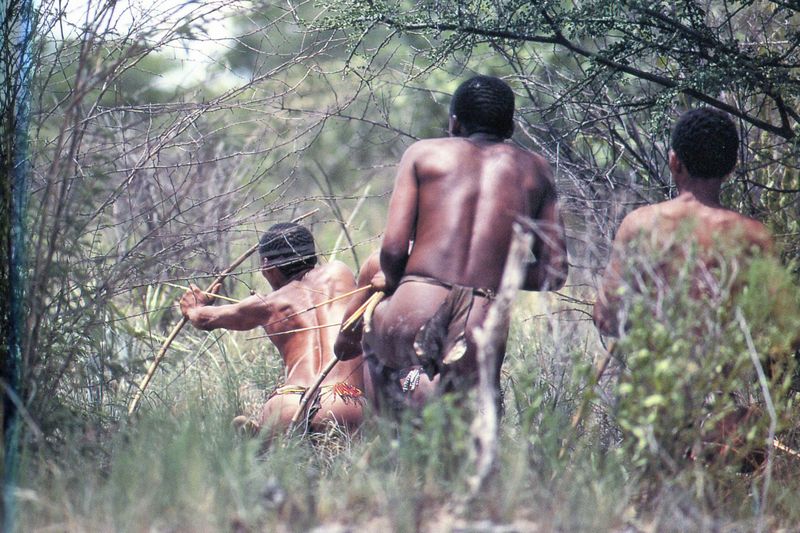 BUSHMEN959_modifié-2