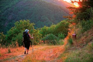 Saint-jacques-de-compostelle-472157