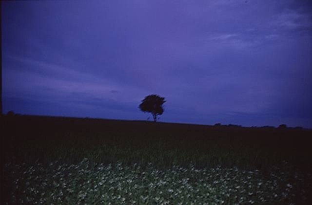 Artwork_images_706_667806_nan-goldin