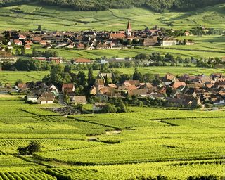 Paysage-Alsace