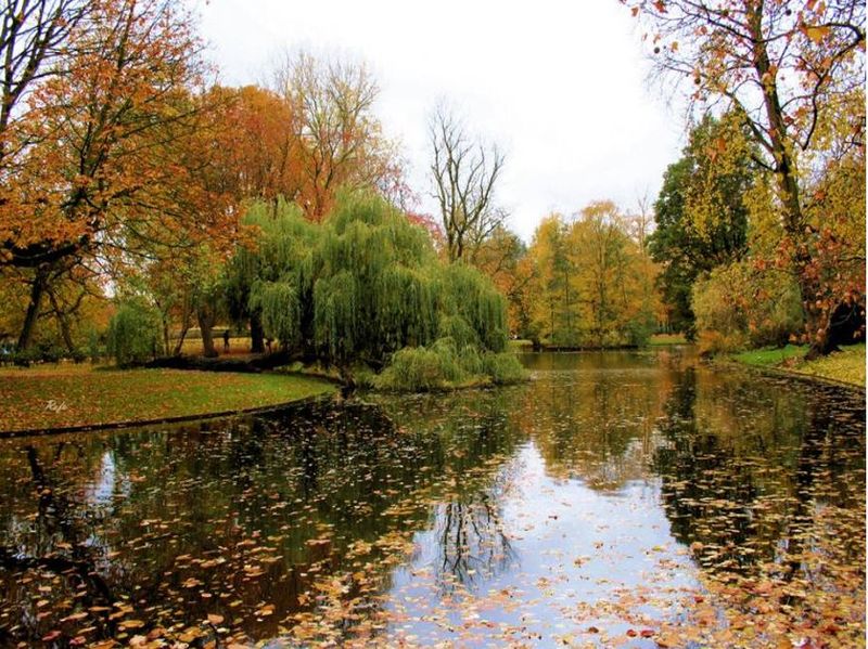 Parc des Impressionnistes : toile d'araignée prenant le soleil