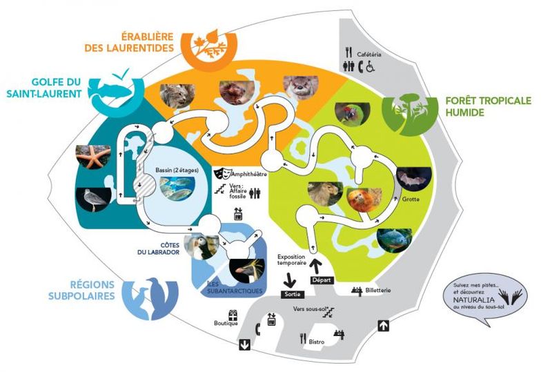 Carte_ecosystemes