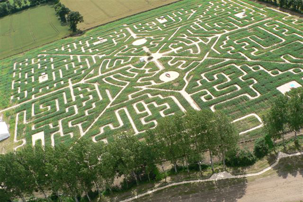 Labyrinthe8