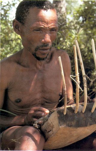 Bushmen2