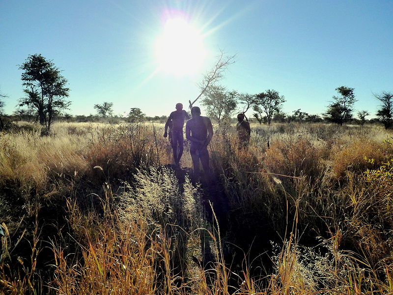 800px-San_Bushmen_I