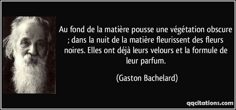 Quote-au-fond-de-la-matiere-pousse-une-vegetation-obscure-dans-la-nuit-de-la-matiere-fleurissent-gaston-bachelard-105925