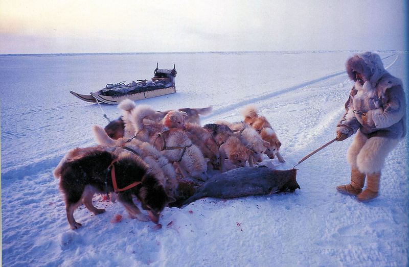 Inuit080