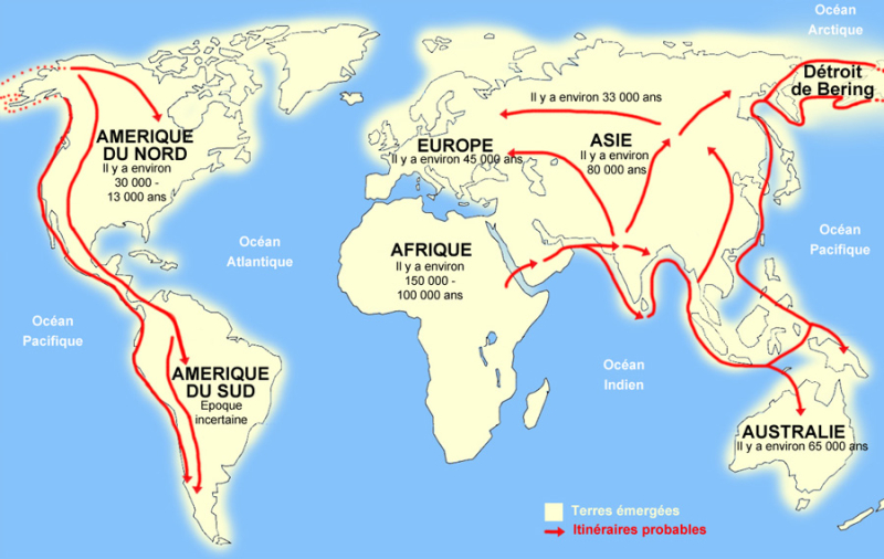 Colonisation-homme-prehistoire