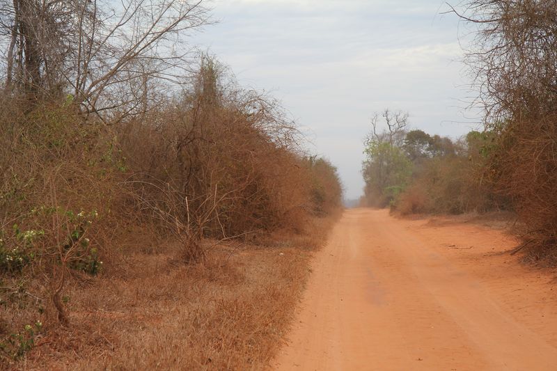 Belo-Morondava_6194