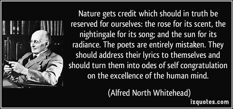 Quote-nature-gets-credit-which-should-in-truth-be-reserved-for-ourselves-the-rose-for-its-scent-the-alfred-north-whitehead-355137