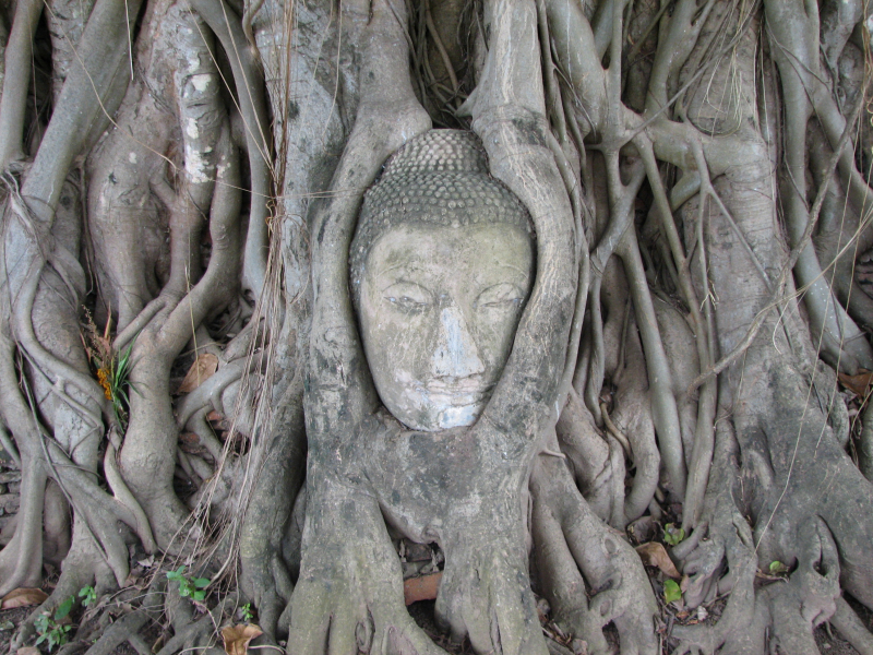 Ayutthaya_buddha_2