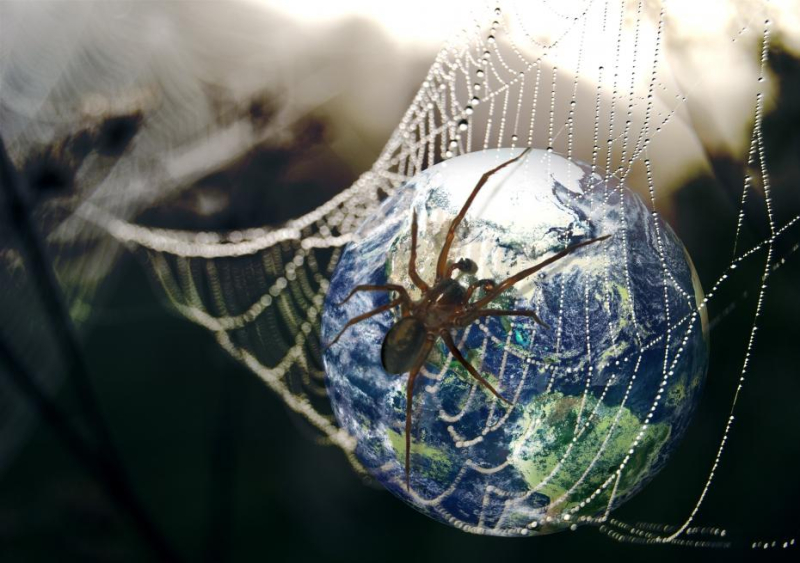 L'homme-araignée n'en finit plus de tisser sa toile : tous fous de  Spider-Man ! - Le Parisien