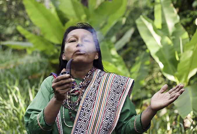 Shaman_estella_soplar_pipe_dreamglade_2016_by_tracey_eller_cosmic_sister_677_2