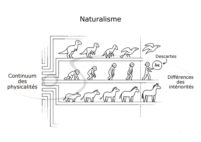 .naturalisme_tagged_m