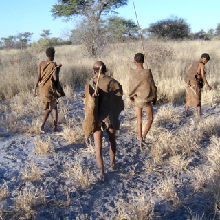 Bushmen-hunt-petr-kosina