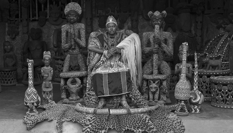 Chaise blanc ivoire et pieds en bois d'hévéa Throne