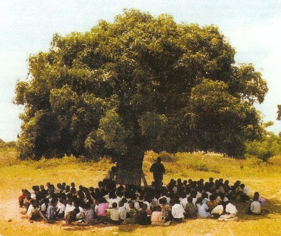 Arbre-a-palabres-AGORA.VOX