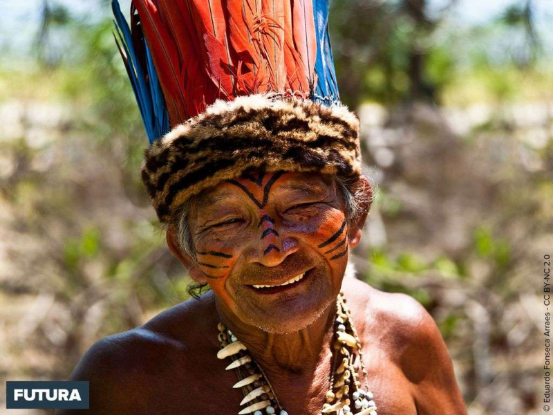 ECOLOGIQUE EN TOUT LOGIQUE - Tribu