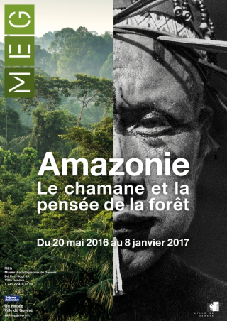 Amazonie%20le%20chamane%20et%20la%20pensée%20de%20la%20forêt