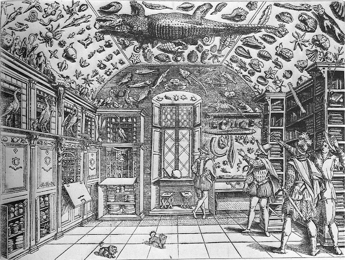 Gravure-cabinet-curiosites-primitif-bulle-soclage-ferrante-imperato-renaissa