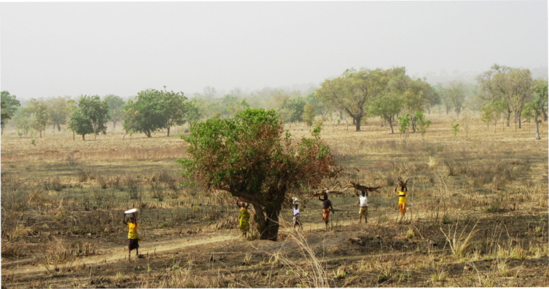 Burkina-263