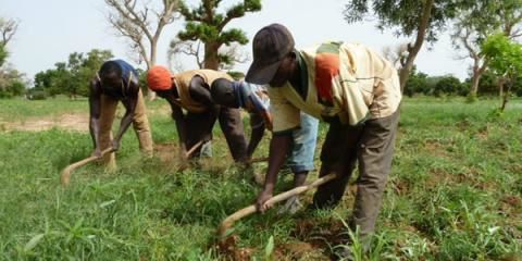 Ob_03ace6_farmers-burkina-faso