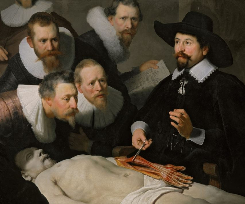 Rembrandt-anatomie